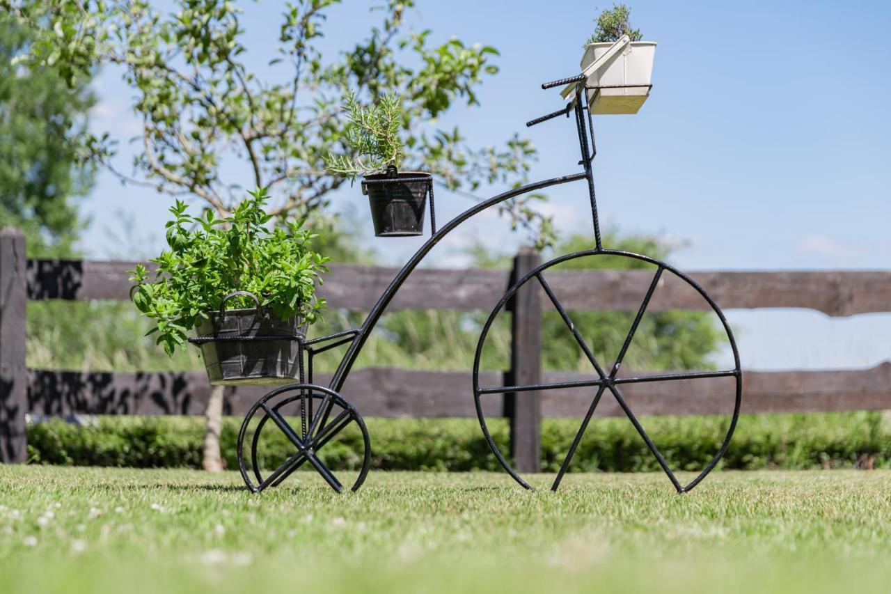 Gite Haven Maissin ภายนอก รูปภาพ